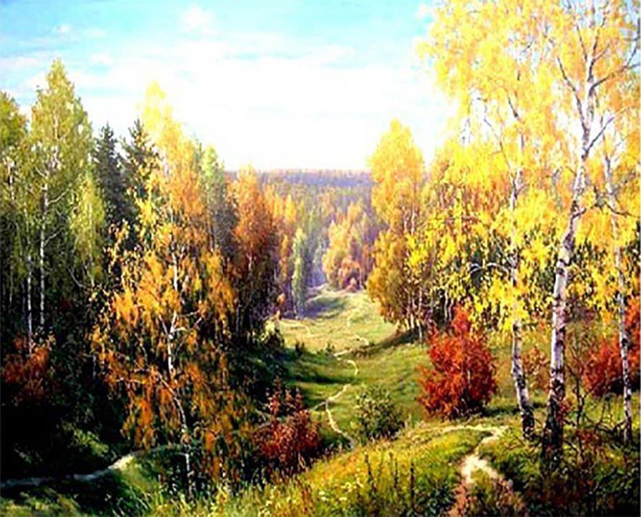 Forest Region Paint by Numbers