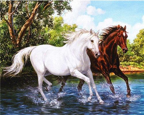 White and Yellow Horses Paint by Numbers