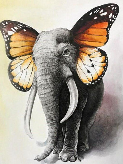 Elephant and Butterfly Paint by Numbers