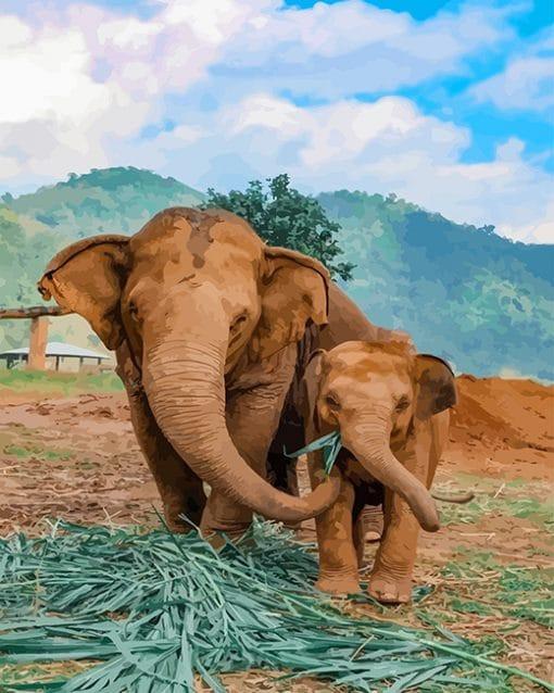 Deux éléphants   Peinture par numéros