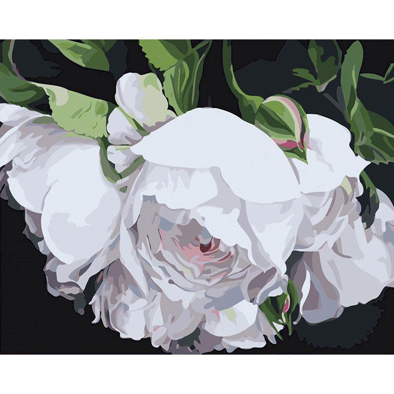 Fleurs blanches à peindre par numéros