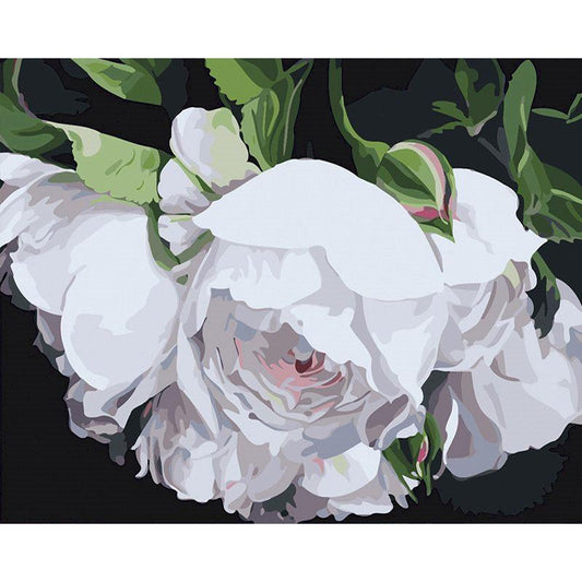 White Flowers Paint by Numbers