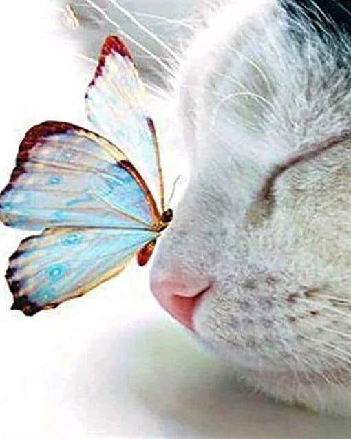 Papillon et Chat  Peinture par Numéros