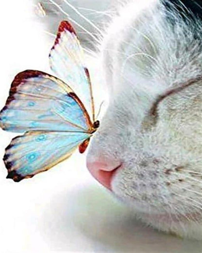 Papillon et Chat  Peinture par Numéros
