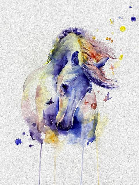 Oiseaux aquatiques bleus  Peinture par numéros