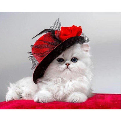 Chat blanc  Peinture par numéros