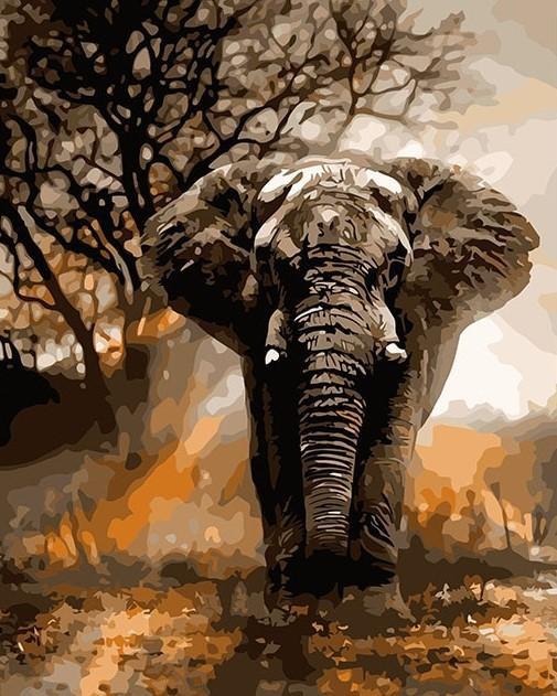 Elephant and Grassland Paint by Numbers
