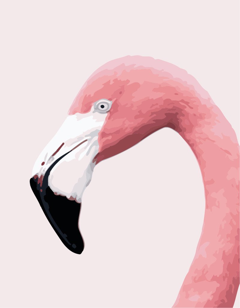 Oiseau rose à peindre par numéros
