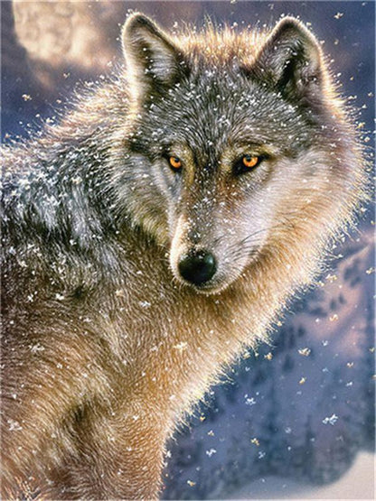 Snow Wolf Paint by Numbers