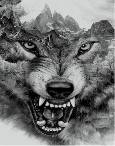 Tête de loup Peinture par numéros