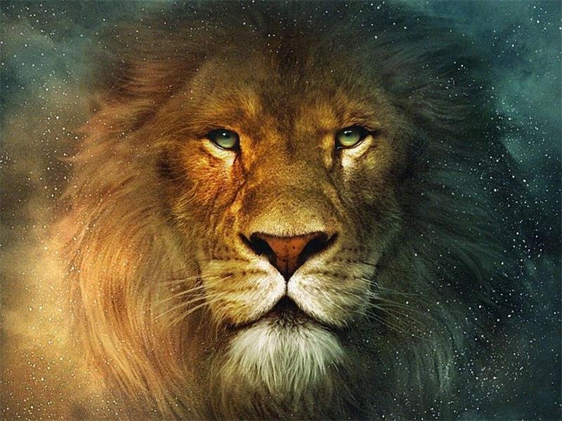 The Lion King Paint by Numbers