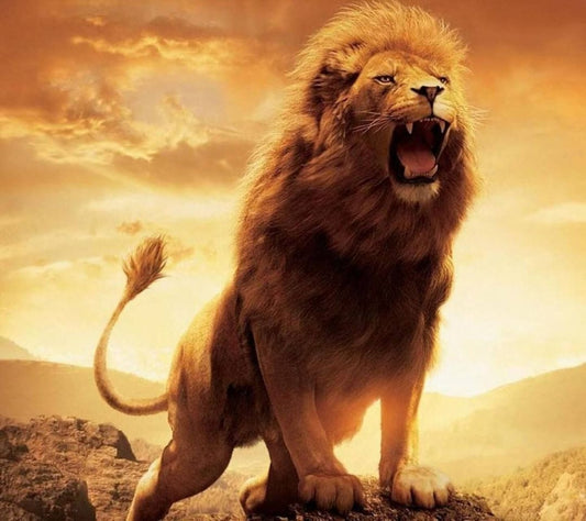 The Lion King Paint by Numbers