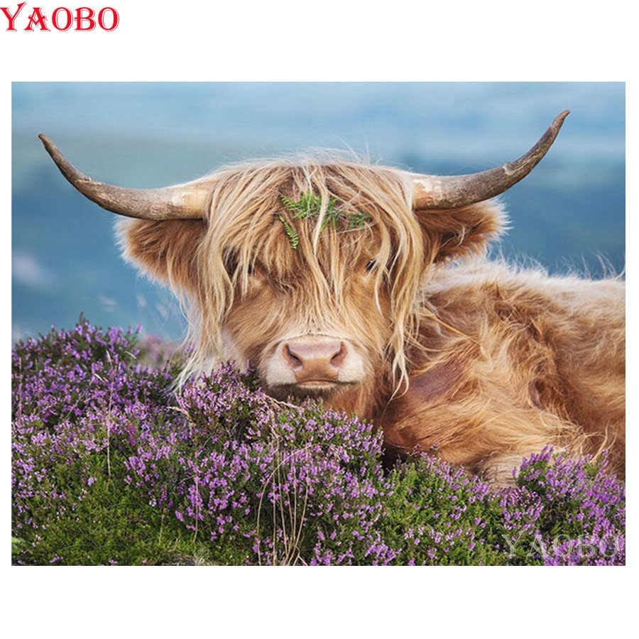 Bull Head Paint by Numbers