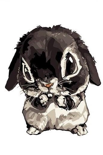Lapin   Peinture par numéros