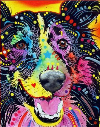 Colorful Dog Head Paint by Numbers