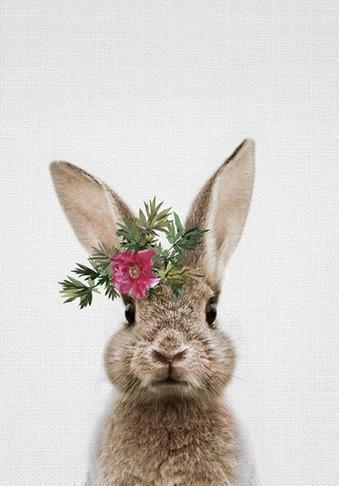 Lapin Peinture par numéros