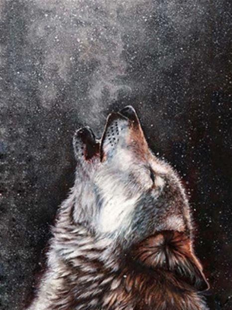 Loup   Peinture par numéros