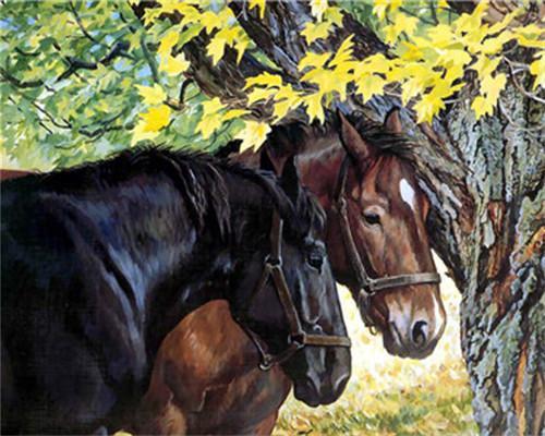 Deux chevaux – Peinture par numéros