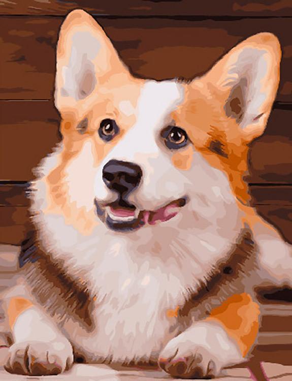 Tête de corgi - Peinture par numéros