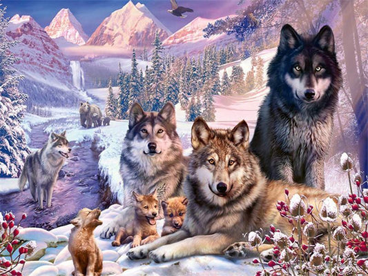Meute de loups  Peinture par numéros