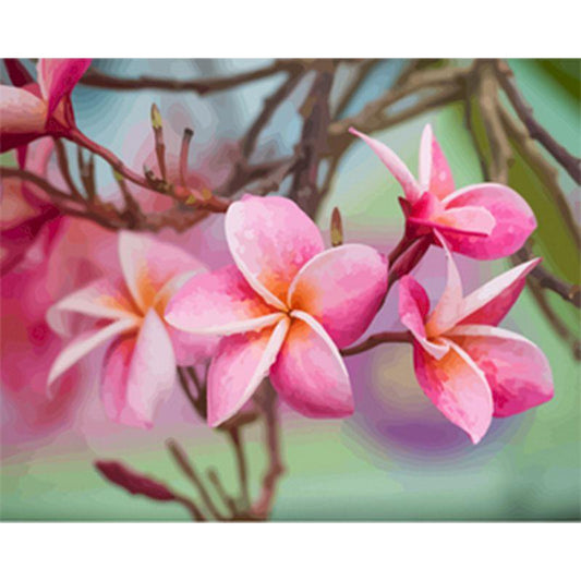 Fleurs à peindre par numéros