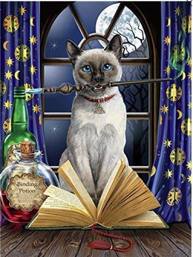 Chat Malen nach Zahlen