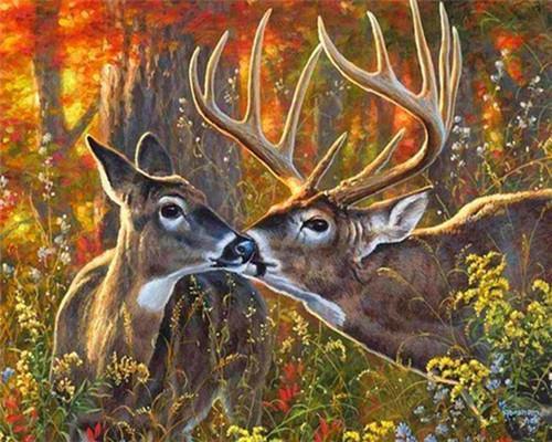 Cerf élaphe Sika – Peinture par numéros