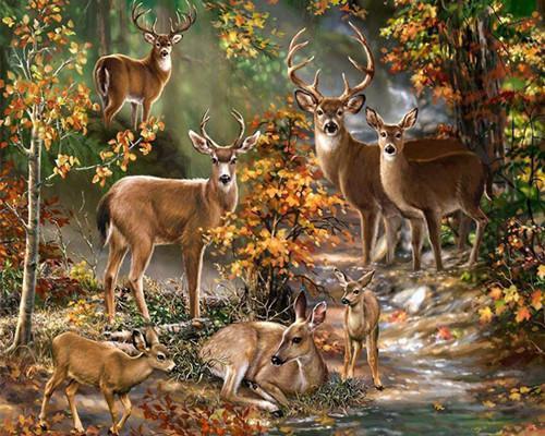 Un groupe de cerfs sika - Peinture par numéros