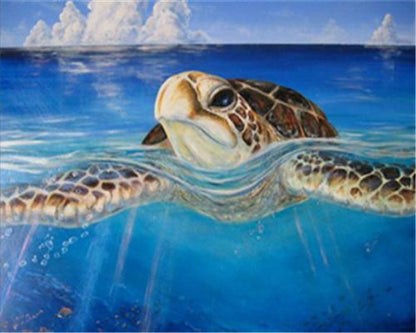 Tortue de mer  Peinture par numéros