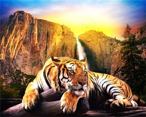 Tigre    Peinture par numéros