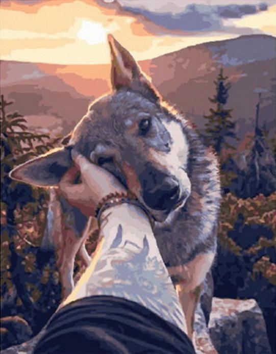 Tête de chien Peindre par numéros