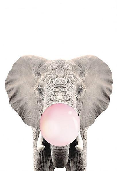 Elephant Paint by Numbers
