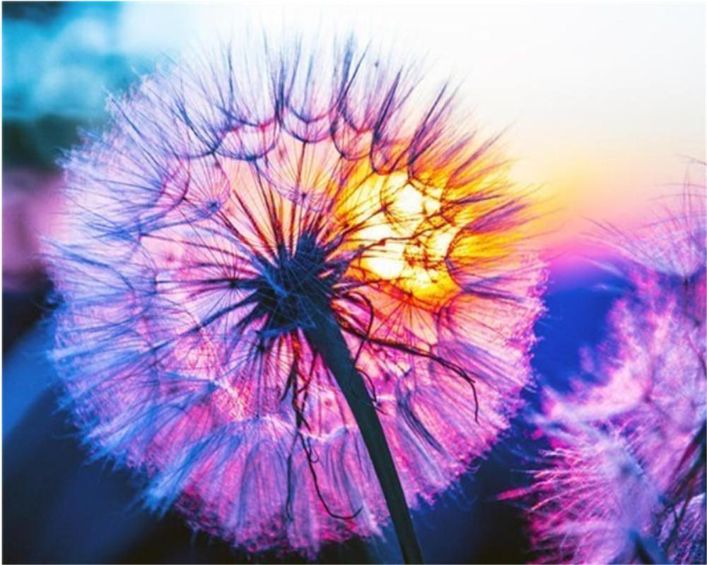 Purple Dandelion Paint by Numbers