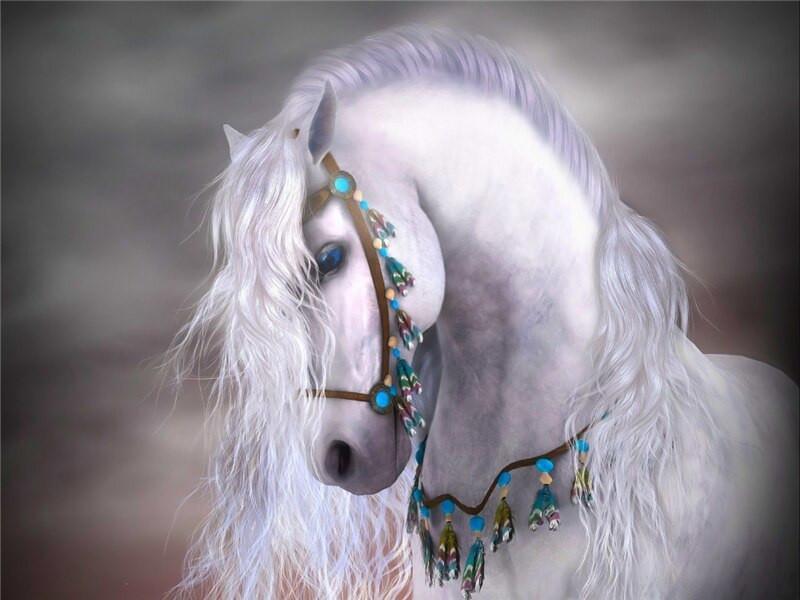 White Horse Paint by Numbers