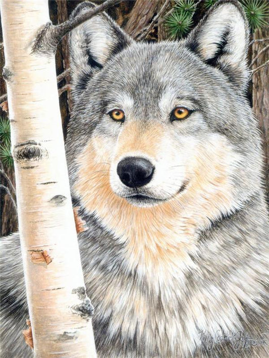 Loup Peinture par numéros