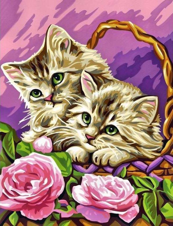 Cat Paint by Numbers