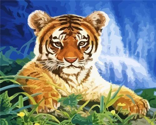 Tigre  Peinture par numéros