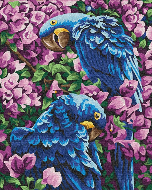 Grive  Peinture par numéros