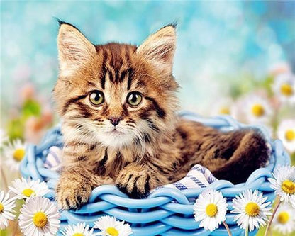 Chat Peinture par numéros
