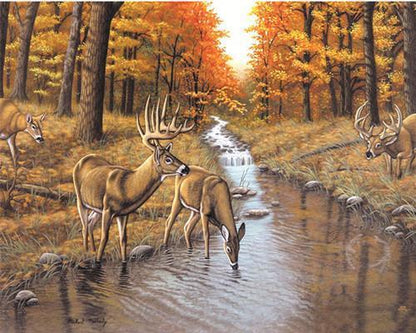 L'eau potable des cerfs sika   Peinture par numéros
