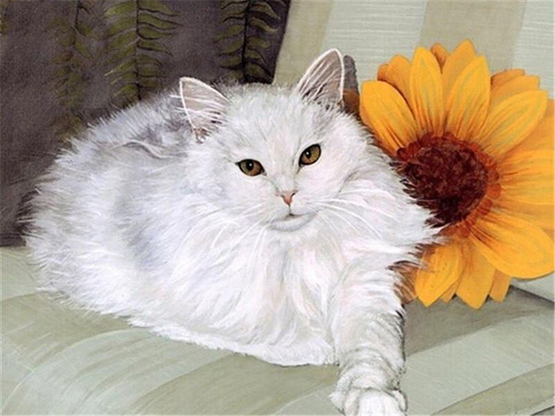 White Cat Paint by Numbers