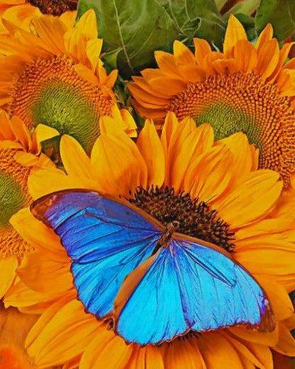 Sunflower Butterfly Paint by Numbers
