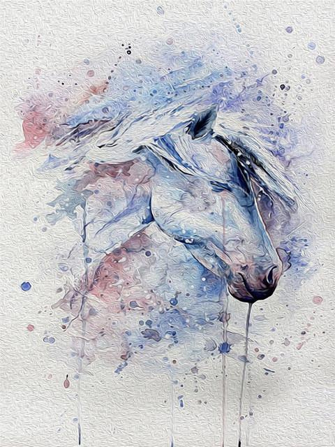 Cheval   Peinture par numéros