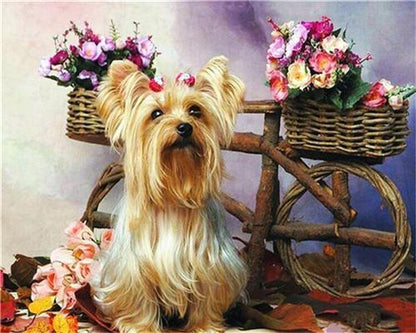 Chiot — Peinture par numéros