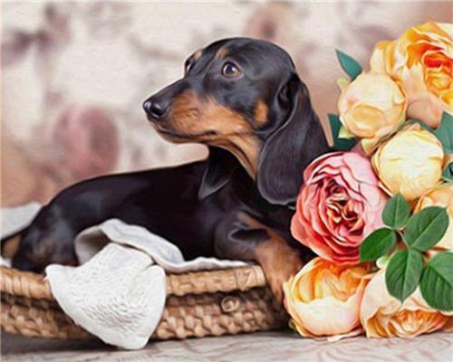 Chiot Peinture par numéros