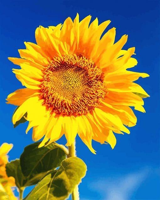 Tournesol Peinture par numéros