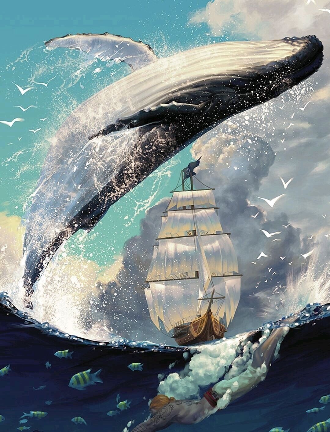 Dauphin   Peinture par numéros