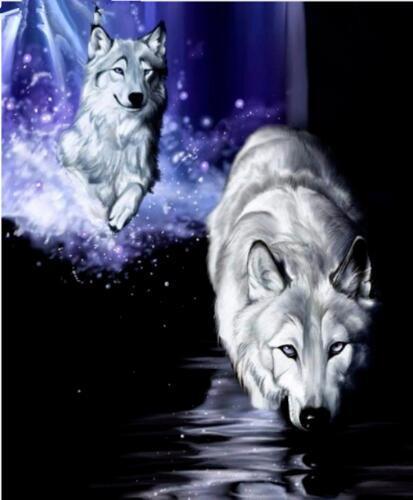 Loup  Peinture par numéros