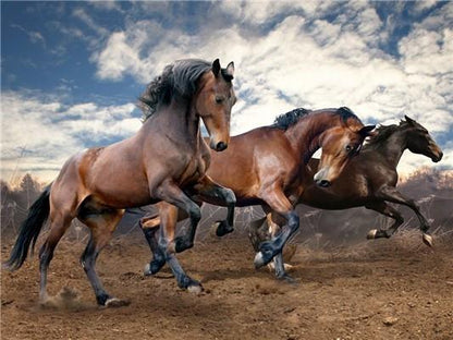 Thousands of Horses Gallop Paint by Numbers